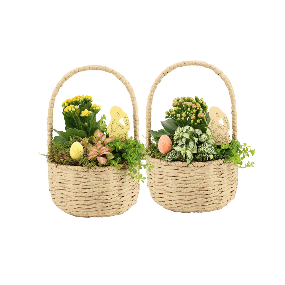 Easter carry basket large - Kalanchoë