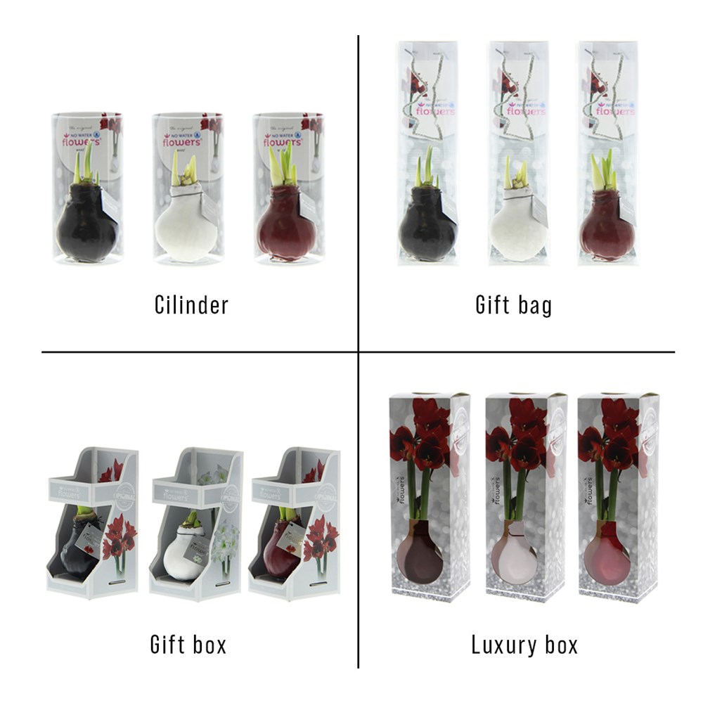 No Water Flowers® - Rainbow, Zonder verpakking