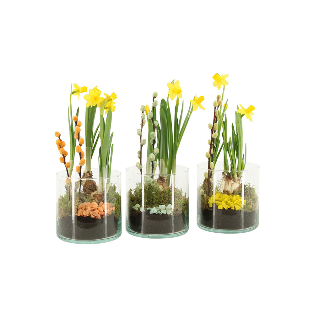 Easter glass medium - Narcis
